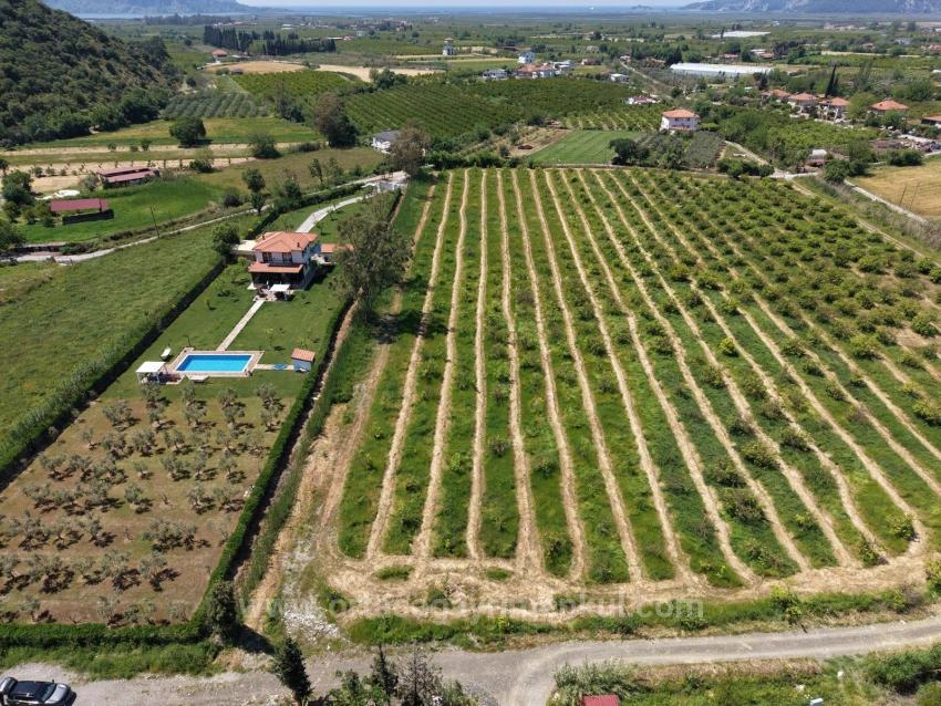 5100 M² Großes Grundstück In Der Nähe Des Stadtzentrums Von Dalyan Zu Verkaufen.