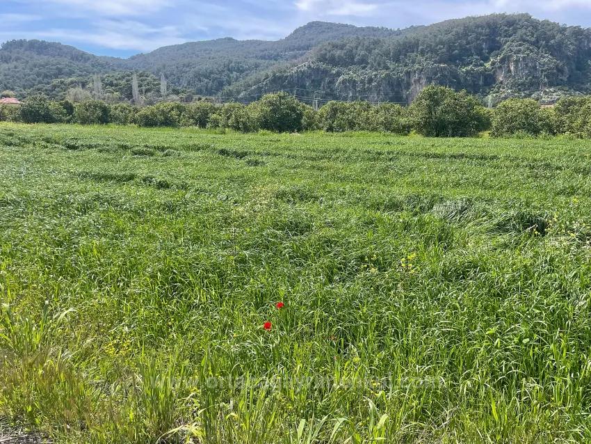 In Okçular Einem 736M2 Großen, 250M2 Großen Bau Genehmigten Verkäuflichen Grundstück