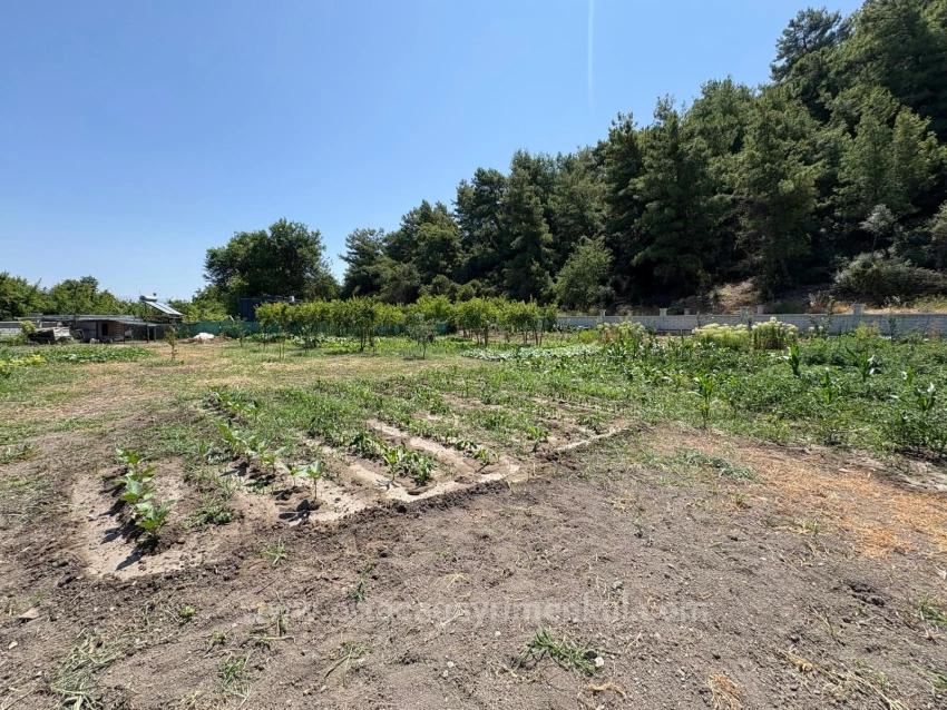Freistehendes Holzhaus Mit 120 M² Wohnfläche Auf Einem 2500 M² Großen Grundstück In Der Gegend Von Dalyan Karadağ