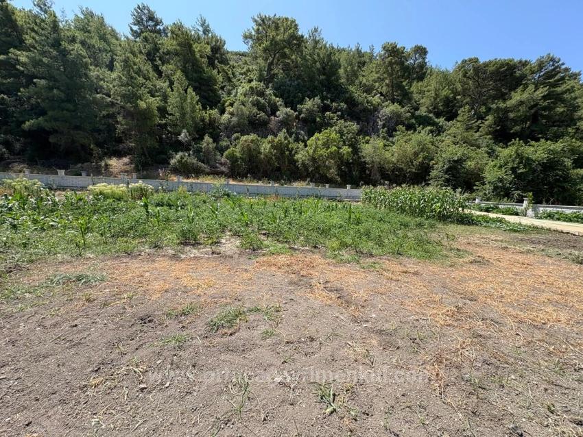 Freistehendes Holzhaus Mit 120 M² Wohnfläche Auf Einem 2500 M² Großen Grundstück In Der Gegend Von Dalyan Karadağ