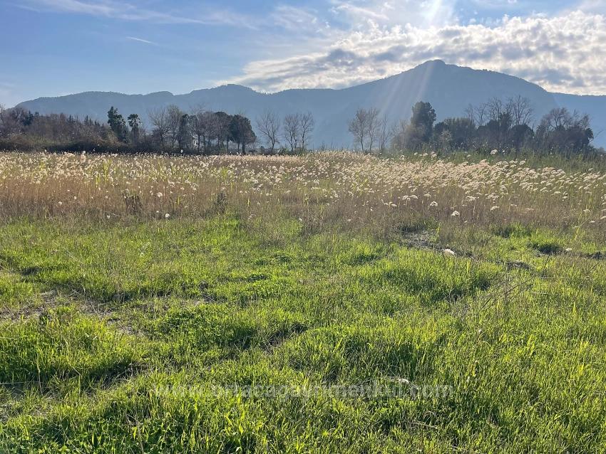 6800 M² Großes Grundstück In Dalyan Zu Verkaufen, 5% Wohnbebauungszone.