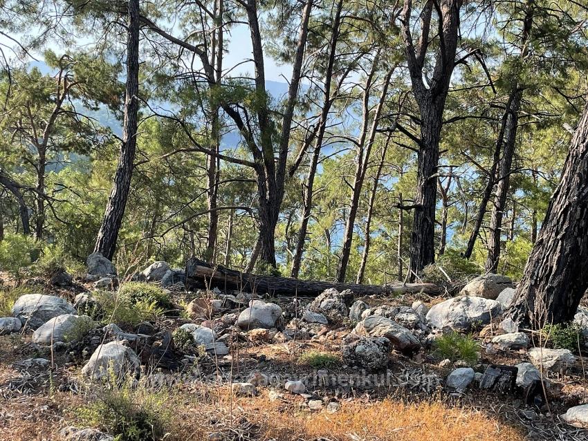 Schnäppchengrundstück Zum Verkauf Mit Meerblick In Der Gegend Von Ekincik-Çandır.