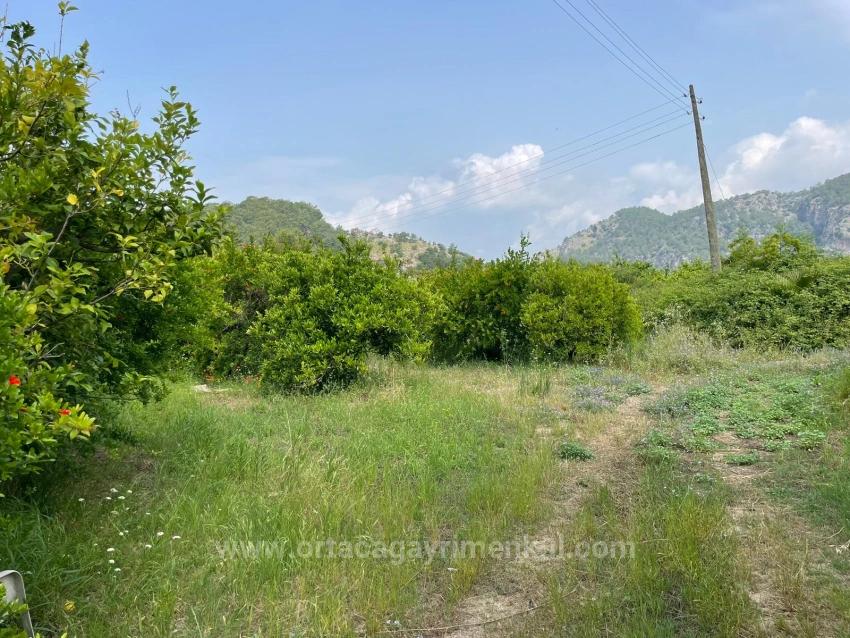 Feld Zu Verkaufen in Gökbel Bz. Ortaca - Gehäuse-Zonierung - 7.800 m²