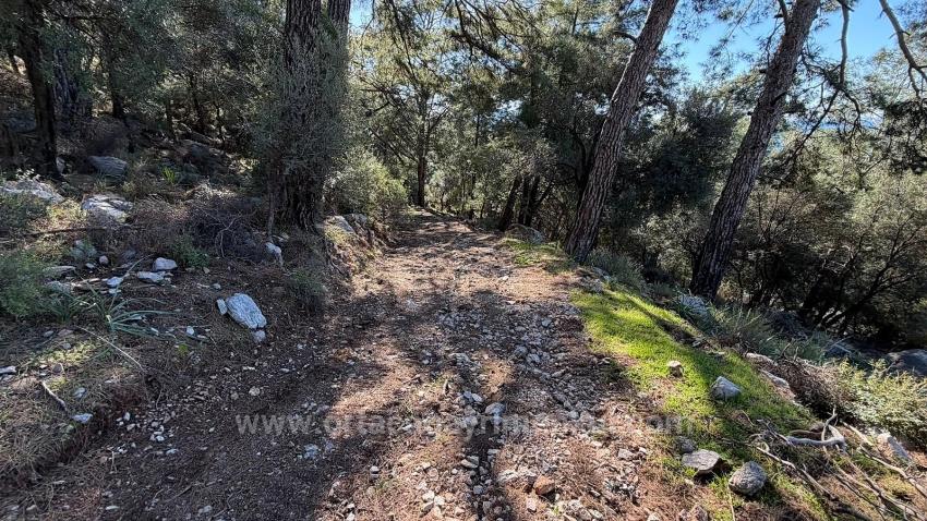 2B-Feld Von 5715 M2 Zum Verkauf Mit Vollem Meerblick In Çandır