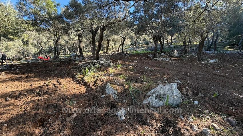 2B-Feld Von 5715 M2 Zum Verkauf Mit Vollem Meerblick In Çandır
