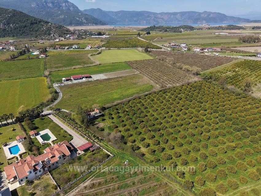 17.550 M2 Weinberg-Bahce Zum Verkauf In Der Nähe Des Dalyan Centers