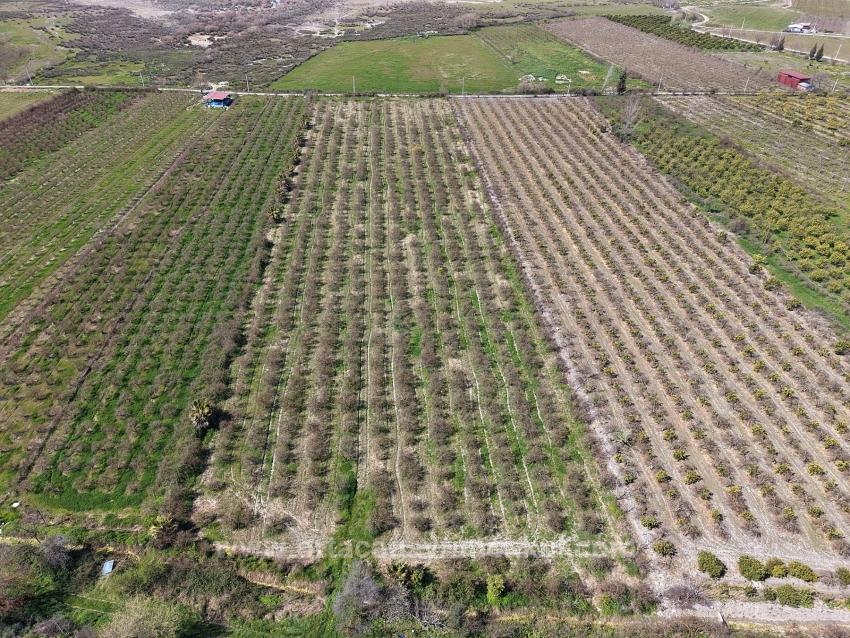 16.710 M² Granatapfelgarten Zum Verkauf Mit Seeblick In Eskiköy