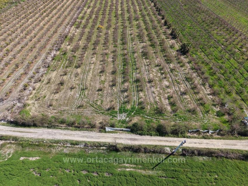 16.710 M² Granatapfelgarten Zum Verkauf Mit Seeblick In Eskiköy
