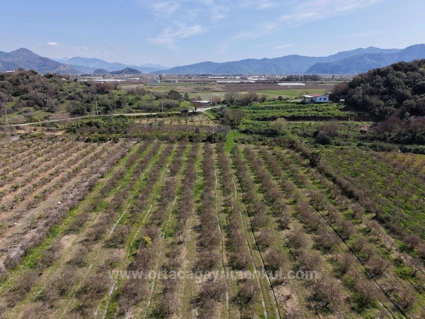 16.710 M² Granatapfelgarten Zum Verkauf Mit Seeblick In Eskiköy
