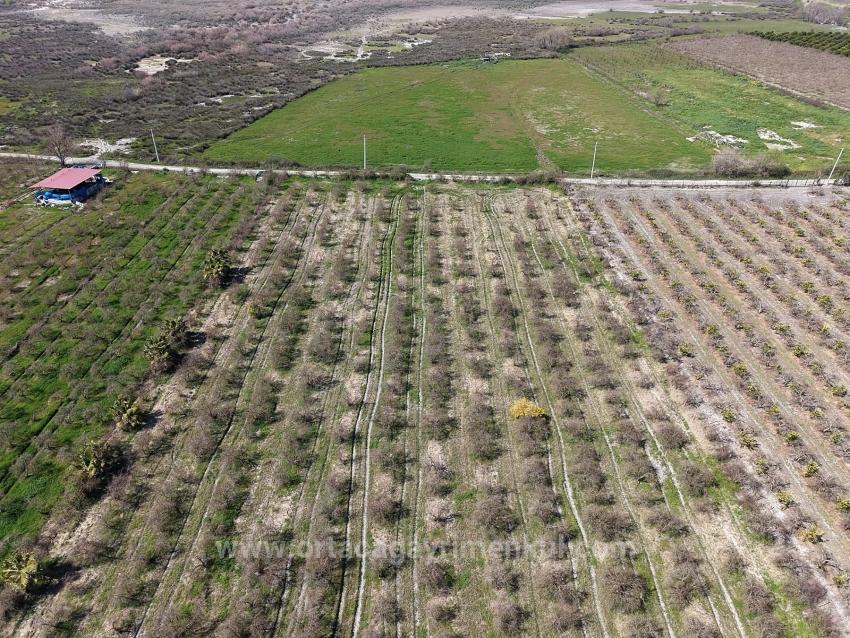 16.710 M² Granatapfelgarten Zum Verkauf Mit Seeblick In Eskiköy