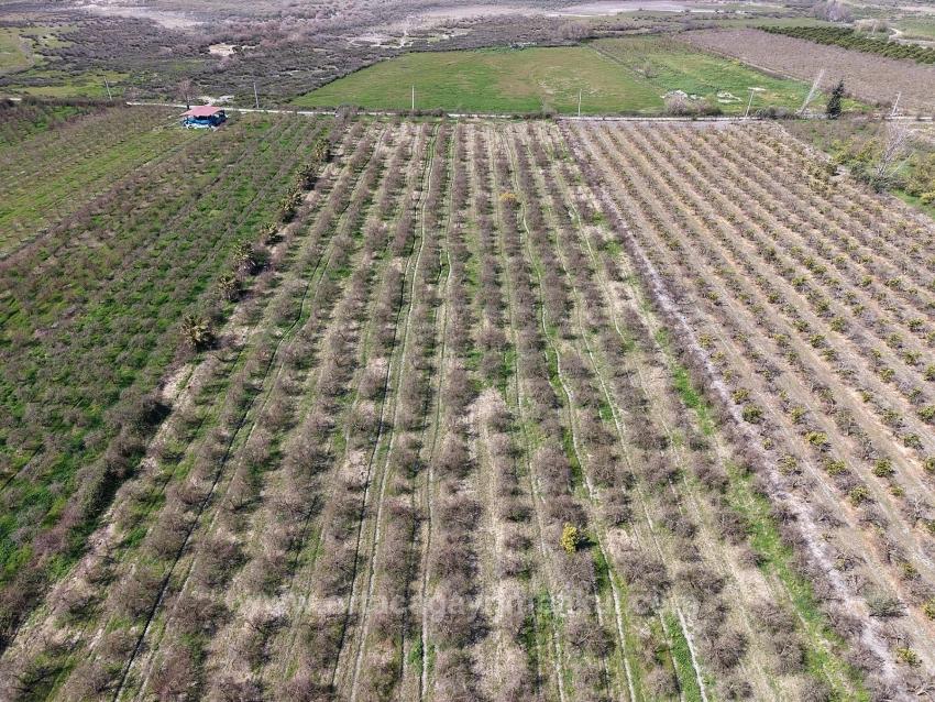 16.710 M² Granatapfelgarten Zum Verkauf Mit Seeblick In Eskiköy