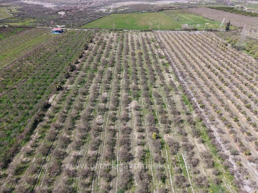 16.710 M² Granatapfelgarten Zum Verkauf Mit Seeblick In Eskiköy
