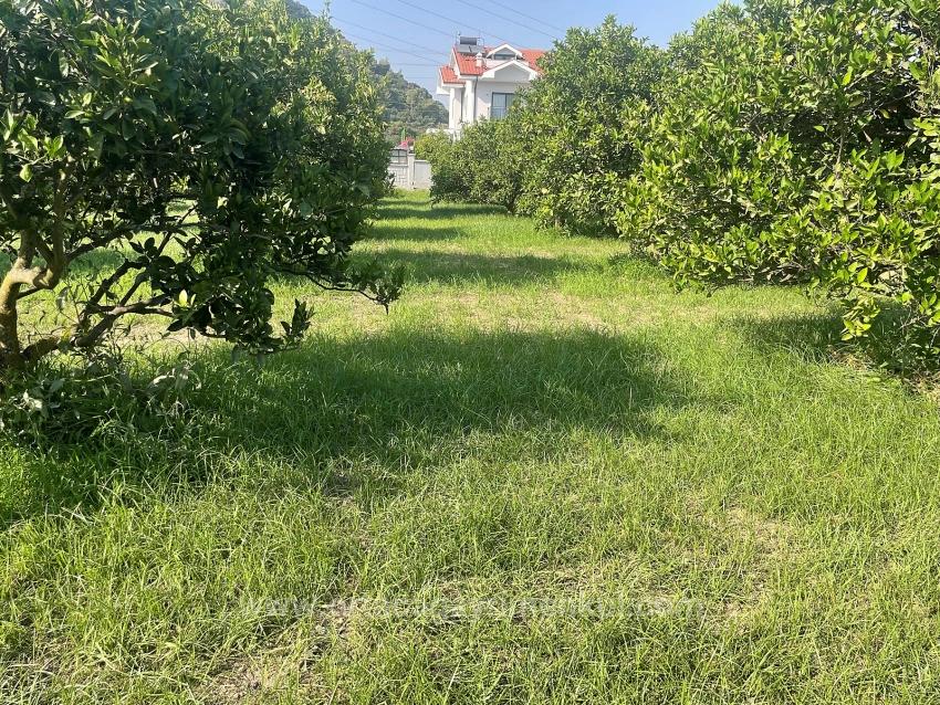 722M2 Grundstück Zum Verkauf In Dalyan Gülpınar