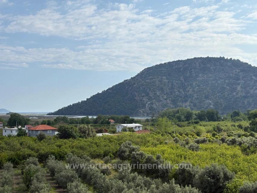 Feld Zu Verkaufen in Çandır Bz. Köyceğiz - Feld-Zonierung - 1.721 m²