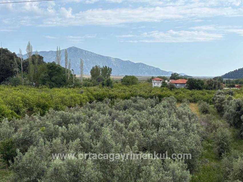 In Çandır Mit Meeres- Und Seeblick 1.721M2 Verkaufsfeld