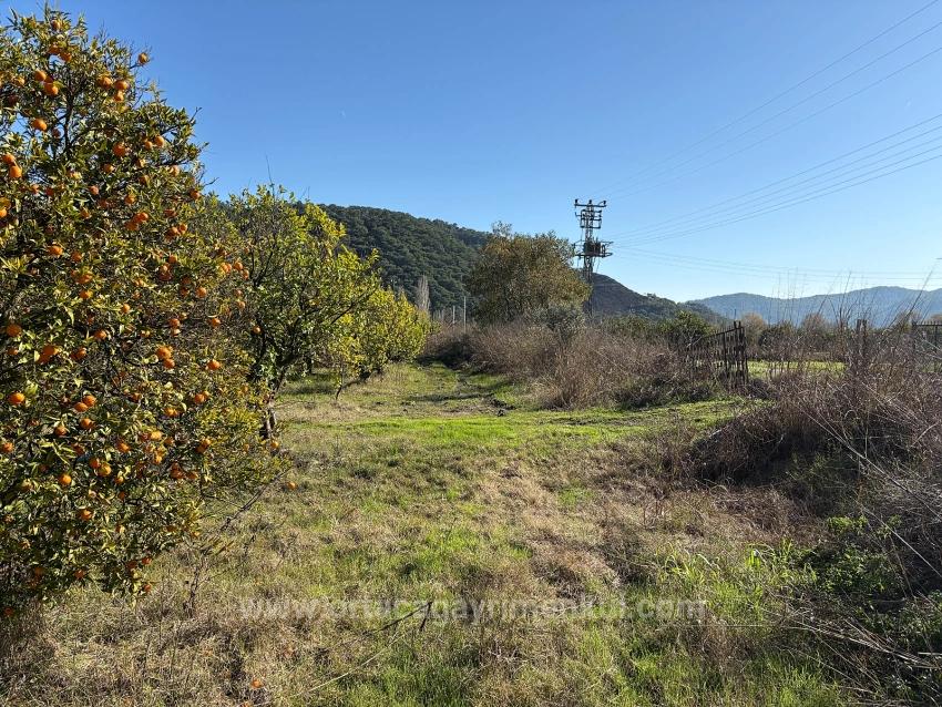 Feld Zu Verkaufen in Tepearası Bz. Ortaca - Weinberg & Garten-Zonierung - 23.000 m²