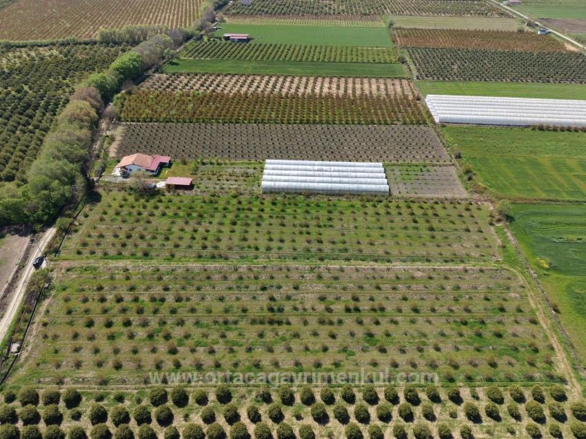 Feld Zu Verkaufen in Eskiköy Bz. Ortaca - Feld-Zonierung - 16.000 m²
