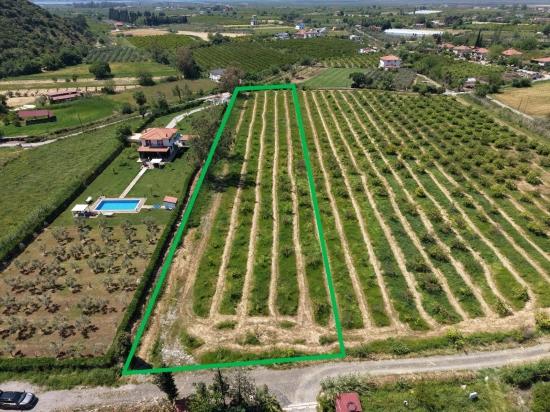 5100 M² Großes Grundstück In Der Nähe Des Stadtzentrums Von Dalyan Zu Verkaufen.
