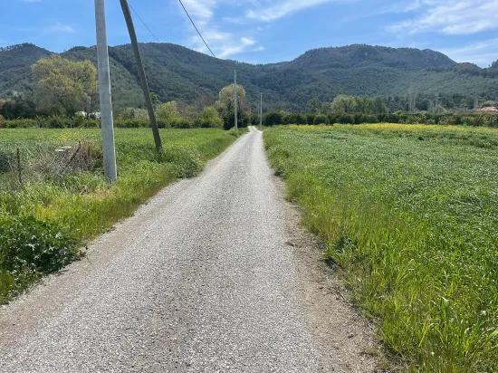 In Okçular Einem 736M2 Großen, 250M2 Großen Bau Genehmigten Verkäuflichen Grundstück