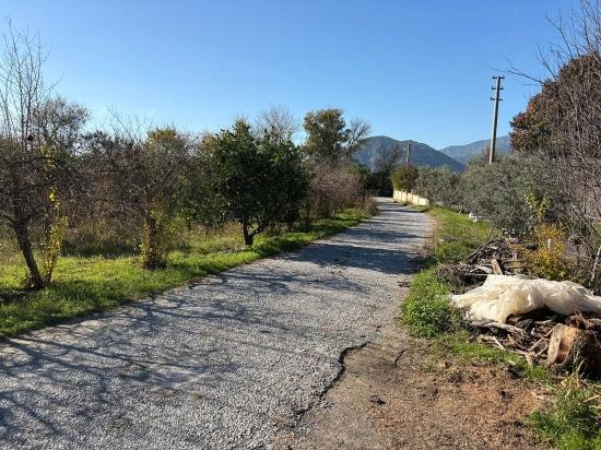 4.541 M² Großer Garten Zum Verkauf In Dalyan.