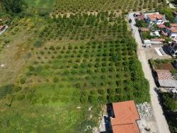 Grundstück Zum Verkauf In Okçular, 1050 M², Im Wohngebiet Des Dorfes.