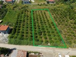 Grundstück Zum Verkauf In Okçular, 1050 M², Im Wohngebiet Des Dorfes.