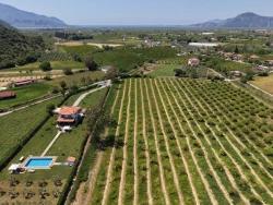 5100 M² Großes Grundstück In Der Nähe Des Stadtzentrums Von Dalyan Zu Verkaufen.