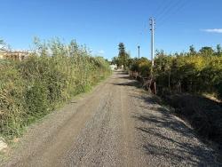 Land Zu Verkaufen in Yeşilyurt Bz. Ortaca - Gehäuse-Zonierung - 3.999 m²