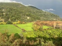 Gelände Zu Verkaufen in Çandır Bz. Köyceğiz - Feld-Zonierung - 35.000 m²