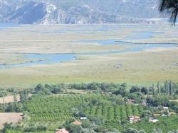 Feld Zu Verkaufen in Çandır Bz. Köyceğiz - Feld-Zonierung - 19.334 m²
