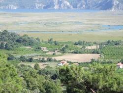 Feld Zu Verkaufen in Çandır Bz. Köyceğiz - Feld-Zonierung - 19.334 m²