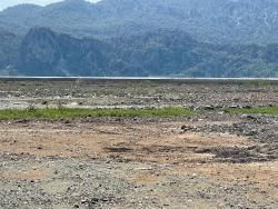 Feld Zu Verkaufen in Dalyan Bz. Ortaca - Gehäuse-Zonierung - 19.600 m²