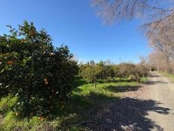 4.326 M² Großes Grundstück Im Wohngebiet Von Okçular Zu Verkaufen.