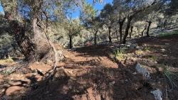 2B-Feld Von 5715 M2 Zum Verkauf Mit Vollem Meerblick In Çandır