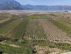 16.710 M² Granatapfelgarten Zum Verkauf Mit Seeblick In Eskiköy
