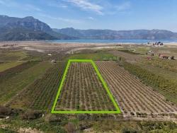 Feld Zu Verkaufen in Eskiköy Bz. Ortaca - Feld-Zonierung - 16.710 m²