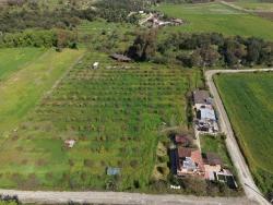 Herberge Zu Verkaufen in Eskiköy Bz. Ortaca - 11.000 m²