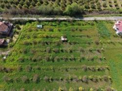 Herberge Zu Verkaufen in Eskiköy Bz. Ortaca - 11.000 m²