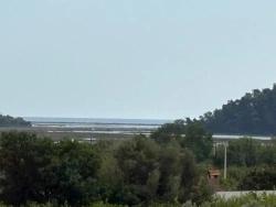 Feld Zu Verkaufen in Çandır Bz. Köyceğiz - Feld-Zonierung - 1.721 m²
