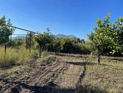 Feld Zu Verkaufen in Dalyan Bz. Ortaca - Feld-Zonierung - 6.600 m²