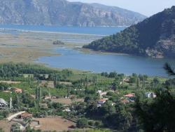 Feld Zu Verkaufen in Çandır Bz. Köyceğiz - Feld-Zonierung - 1.252 m²