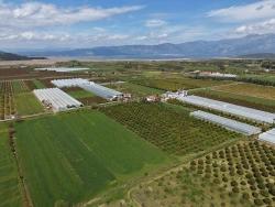 Feld Zu Verkaufen in Eskiköy Bz. Ortaca - Feld-Zonierung - 16.000 m²