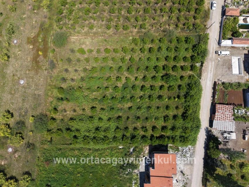 Land Zu Verkaufen in Okçular Bz. Ortaca - Gehäuse-Zonierung - 1.050 m²