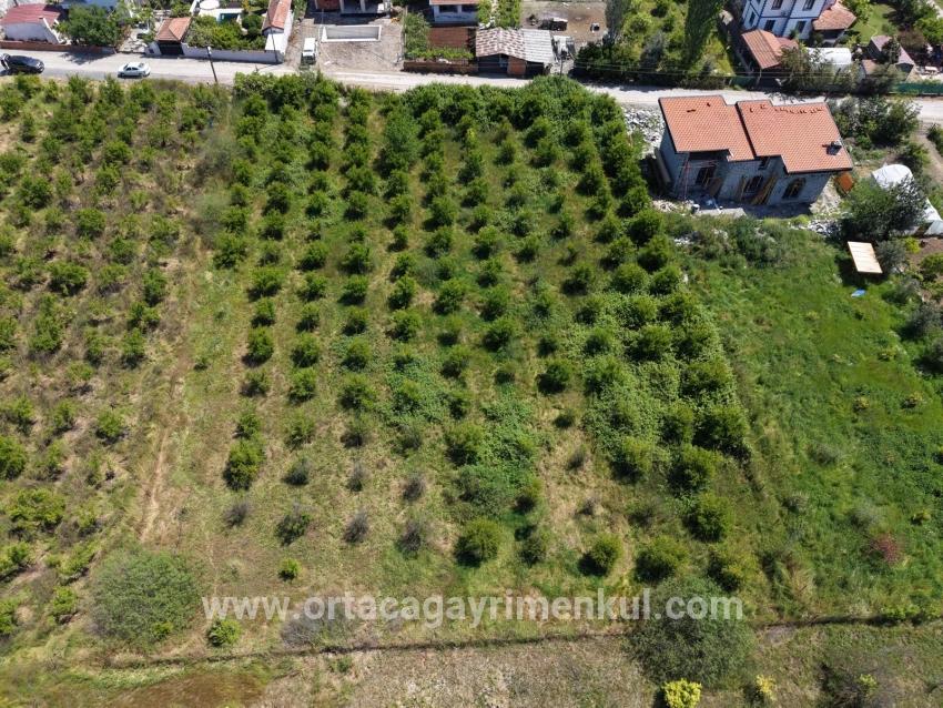 Land Zu Verkaufen in Okçular Bz. Ortaca - Gehäuse-Zonierung - 1.050 m²
