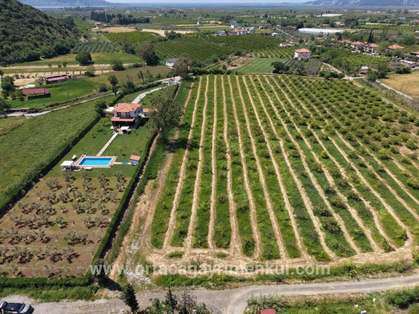 Feld Zu Verkaufen in Dalyan Bz. Ortaca - Feld-Zonierung - 5.100 m²