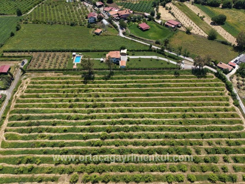 Feld Zu Verkaufen in Dalyan Bz. Ortaca - Feld-Zonierung - 5.100 m²