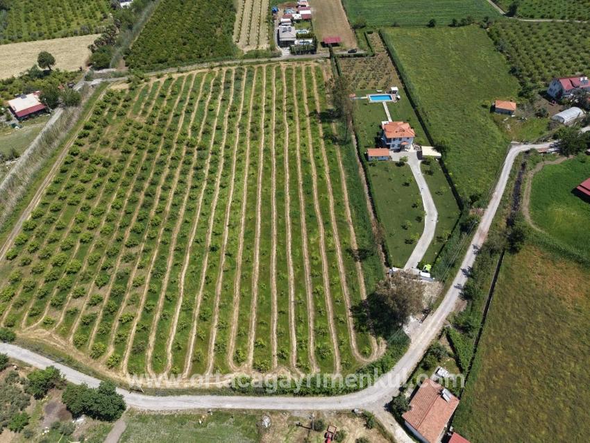 Feld Zu Verkaufen in Dalyan Bz. Ortaca - Feld-Zonierung - 5.100 m²