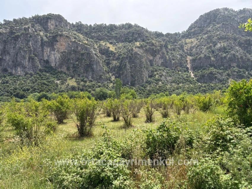 Land Zu Verkaufen in Okçular Bz. Ortaca - Gehäuse-Zonierung - 2.100 m²
