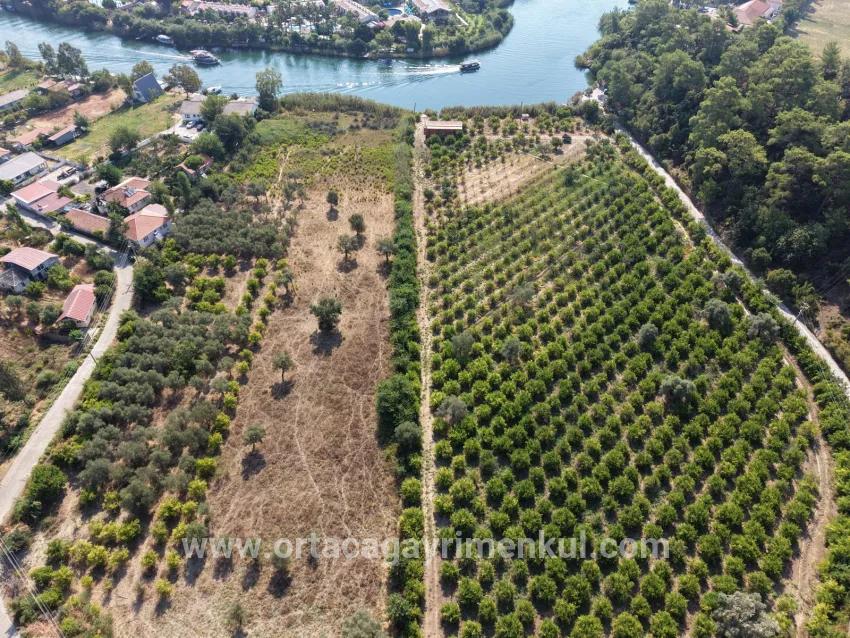 Feld Zu Verkaufen in Çandır Bz. Köyceğiz - Feld-Zonierung - 20.000 m²