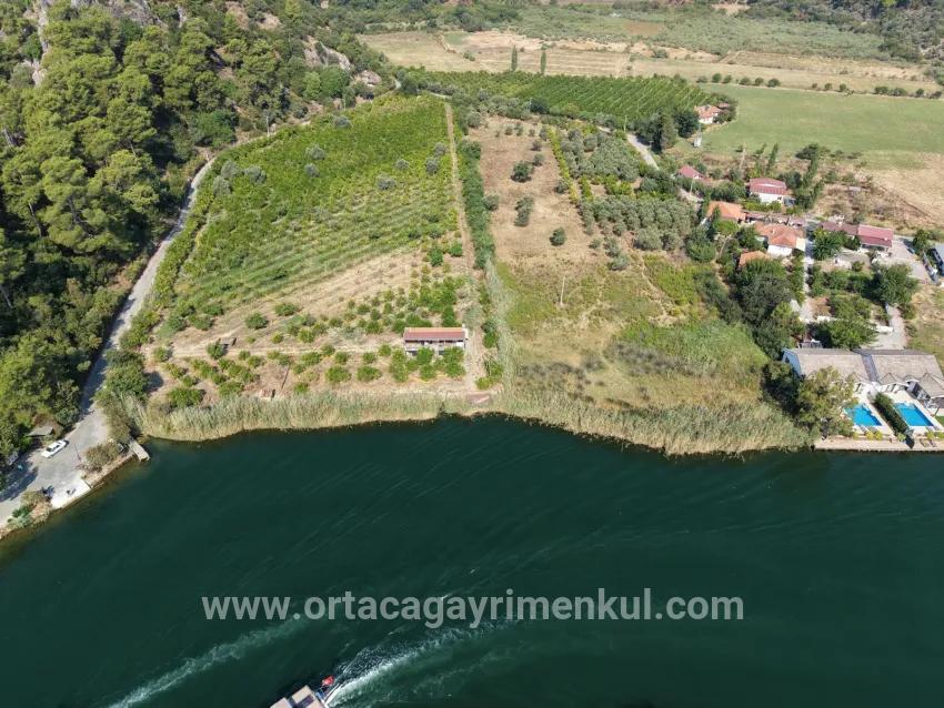 Feld Zu Verkaufen in Çandır Bz. Köyceğiz - Feld-Zonierung - 20.000 m²
